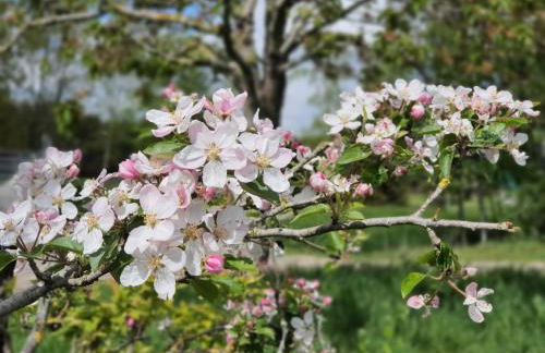 Ferienwohnungen Sund Ostfriesland - Foto 32