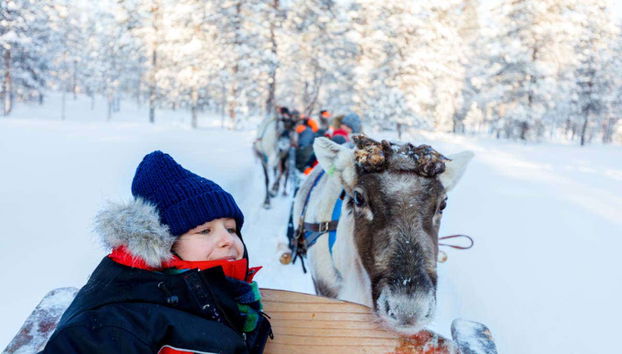 Enjoy the reindeer sleigh ride
