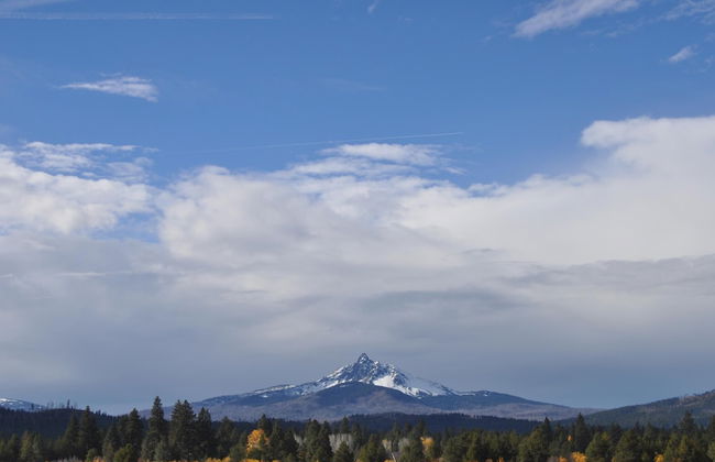 NEW Winter Retreat at Black Butte Ranch - Foto 18