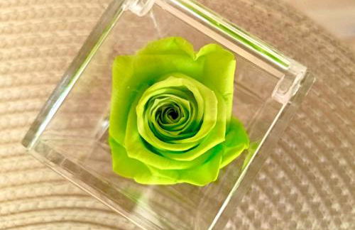 Sul Corso Sanremo - Foto 22