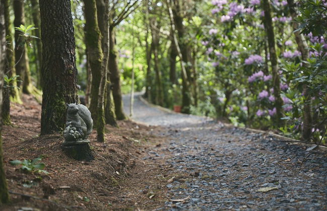 Mushroom Yurt set in 4 Acres of Woodland and Lakes - Foto 34
