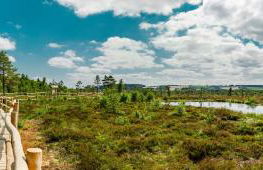 Ferienhaus Bärenloch - Foto 24