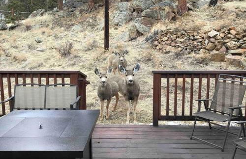Lux 3BR Home - Wildlife & Views near RMNP - Foto 15