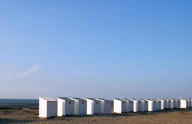 Sunny Escape by the Shore - Photo 23