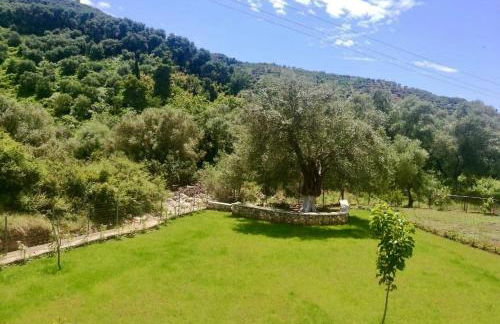 PargaLand Studios & Apartments - Photo 70