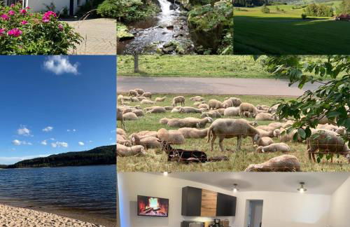 BergOase-Apart am Feldberg - Foto 43