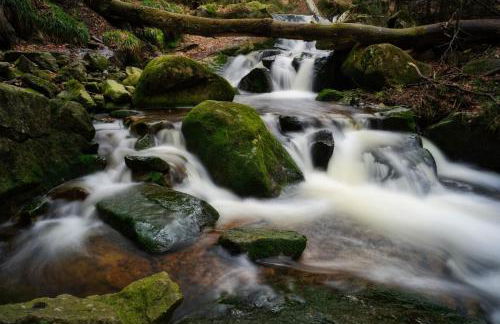 Haus Ilsegarten - Foto 44