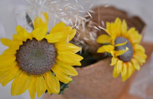 REFÚGIO DO RAPOSO/CASA DENEB (CC) - Foto 13