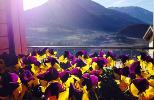 B&B L'edera - Foto 11