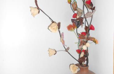 El Portal Viejo - Foto 14