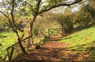 Goose Feather Barn, Wedmore luxury cottage for two - Foto 41