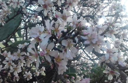 R&Z Getaway - Foto 38