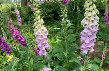 Apartment Vier Jahreszeiten Pilsum - Foto 38