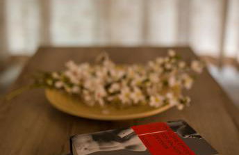 Ble on Blue - Photo 71