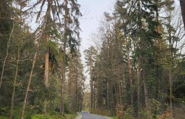 Cisza i Las - Dom na wyłączność, Prywatny Las, 2 pokoje, Polanica Zdrój - Foto 19