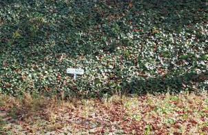 gemütliche kleine Ferienwohnung - Foto 13