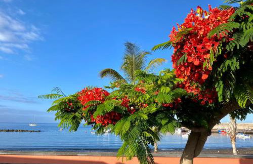 Casa Antonio - apartamento Sol - Foto 25