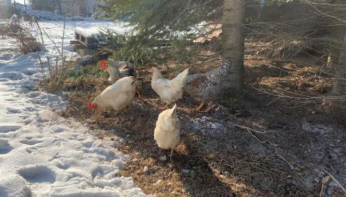 Entspannte Auszeit - Foto 5