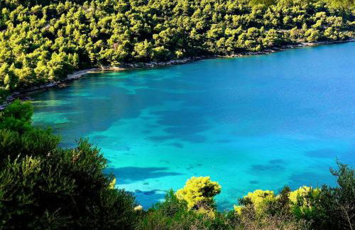 VILLA DORA ZULJANA PELJESAC CROATIA - Foto 13