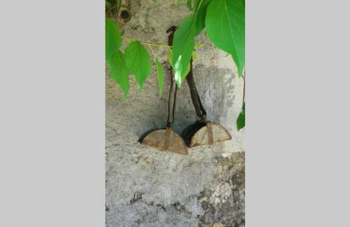 Palheirinho - Foto 51