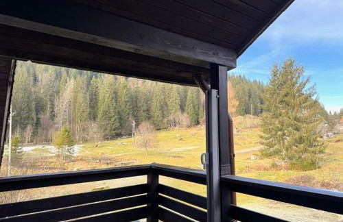 Gästehaus Seewald- Ferienwohnung 6 "Fichte", Schluchsee, Blasiwald - Foto 8