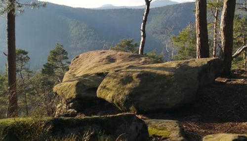 Ludwig im Künstlerhaus - Foto 2