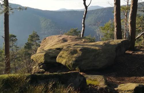 Ludwig im Künstlerhaus - Foto 2