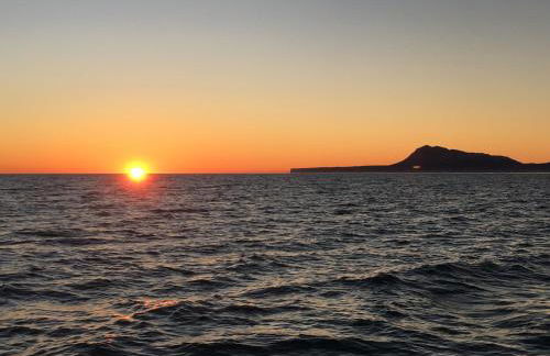 OLIVA HOLIDAYS 1 - Photo 18