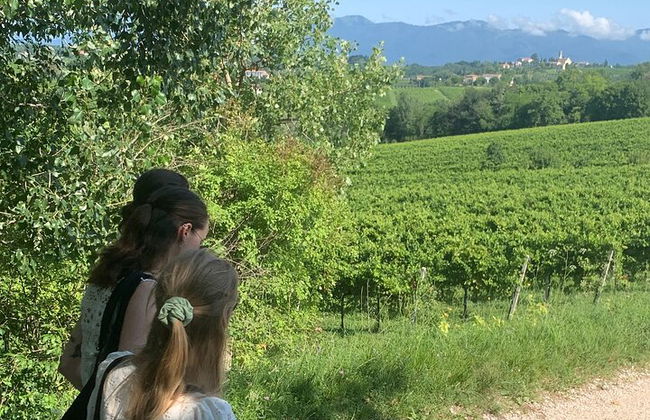 Premium Private Prosecco Hills Tour - 2 Cantine. Tour privato. - Foto 12