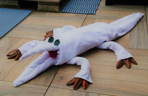 Le Moulin d'Oscar & Spa - Mulhouse Nord - Foto 93