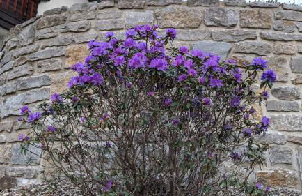 Hallenburgblick - Foto 11