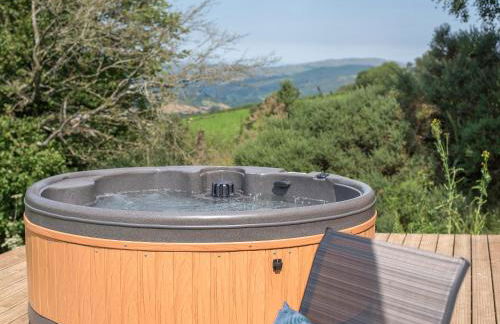Dol Y Mynydd The Mountain Meadow - Cottage - Photo 17