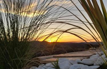 Natur Amêndoa - Photo 33