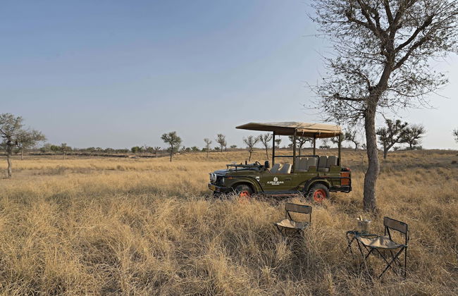 Alsisar Mahal - A Heritage Hotel - Foto 32