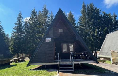 Ferienhaus Rennsteighütte 2 - Photo 2