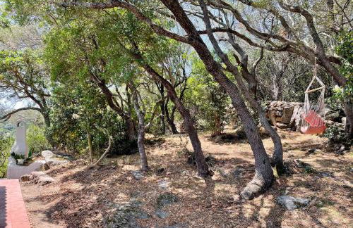 Villa La Petra - Foto 48