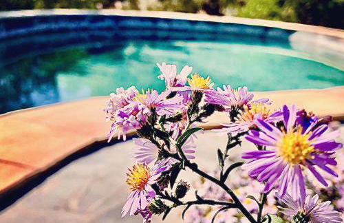 LaCasadelMarAmetlla - Foto 13