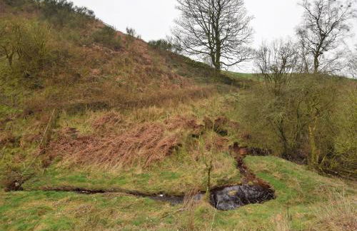 1 Bed in Brampton 73577 - Foto 38