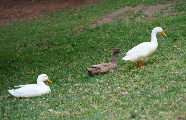 De Werf Lodge - Photo 34