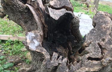 Agriturismo Oltrealmare - Foto 43