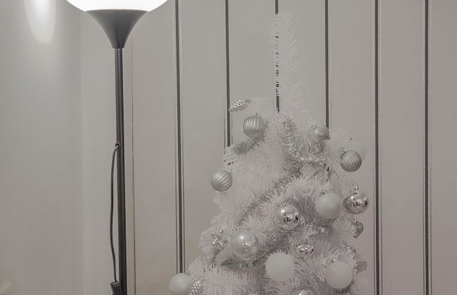 Luxury City Center Apartment - Foto 24