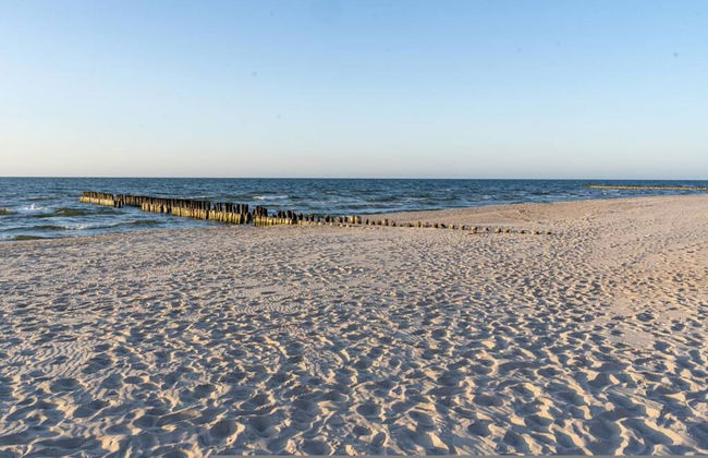 Art Forrest 33 K in Rogowo - Photo 32