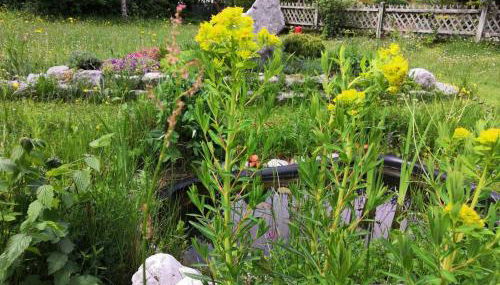 Gästehaus Kayetan - Foto 5, Garden, Garden view