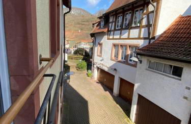 Ferienwohnungen Annweiler am Trifels - Foto 42