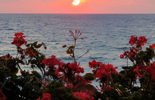 Sun Camero Apartments - Photo 52