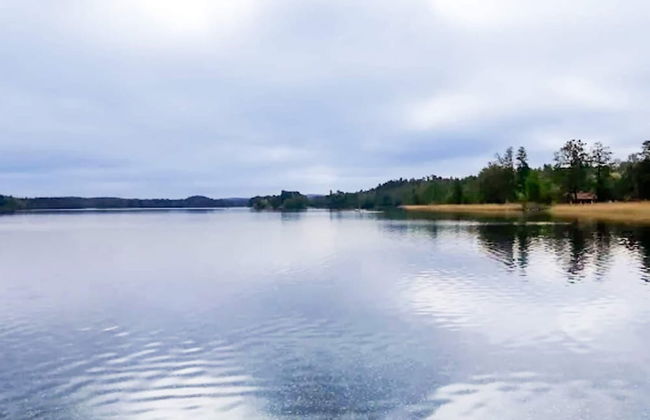 4 Person Holiday Home in Granna-by Traum - Photo 61