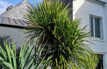 PENINSULAR HOUSE - Foto 8