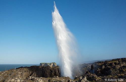 Apartamentos El Castañeu - Foto 43