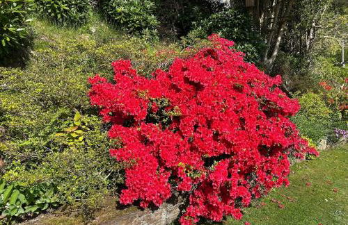 Mawddach View, Snowdonia Hot tub & Pet friendly - Foto 13
