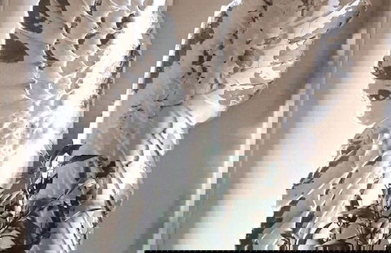 Luxurious Stone House in Elani - Photo 13